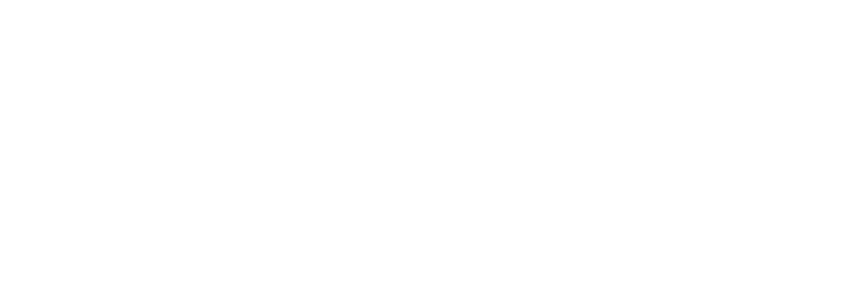 Lenzini's Bar